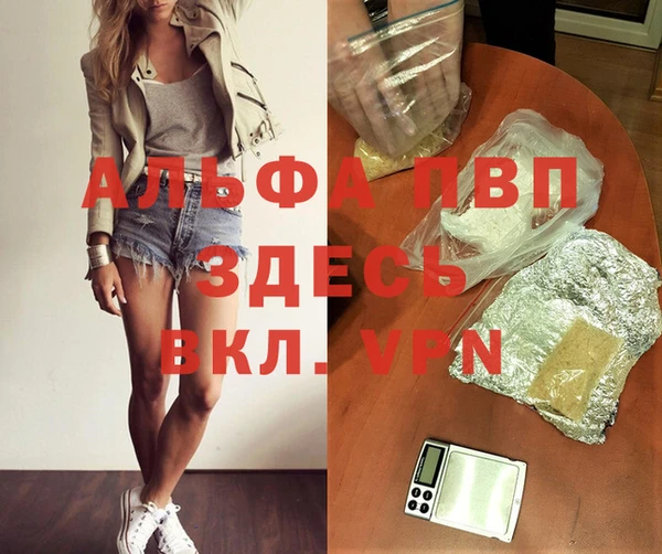прущие грибы Зеленокумск