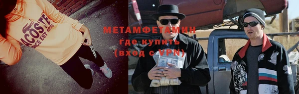 прущие грибы Зеленодольск