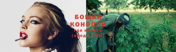 спиды Каменка
