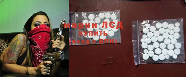 прущие грибы Зеленодольск