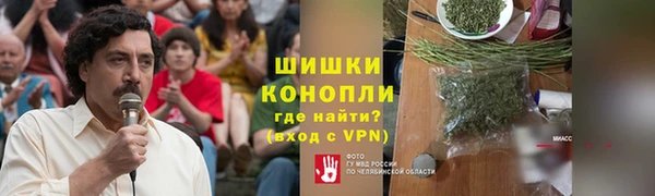 прущие грибы Зеленокумск