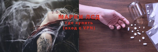 прущие грибы Зеленокумск