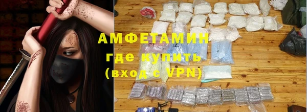 прущие грибы Зеленокумск