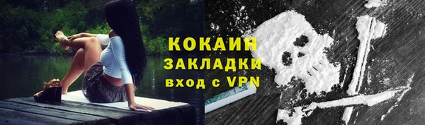 прущие грибы Зеленокумск